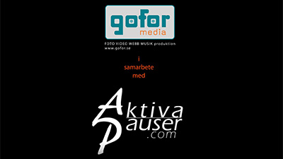 Aktiva Pauser