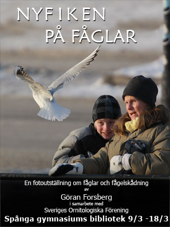 Fotoutställningen Nyfiken på Fåglar